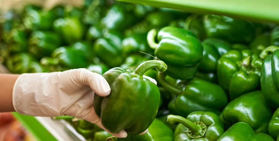 पहाड़ी शिमला मिर्च के लिए सटीक — फफूंद सुरक्षा, एफिड नियंत्रण और पोषण।