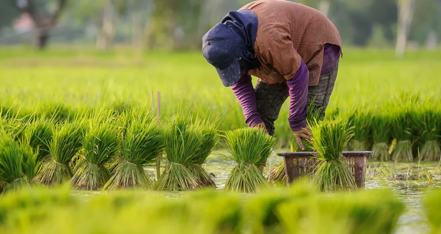 There are many variations of passages of Lorem Ipsum available, but majority have suffered teration in some form, by injected humour, or randomised words which don't look even slight believable. If you are going to use a passage of Lorem Ipsum.