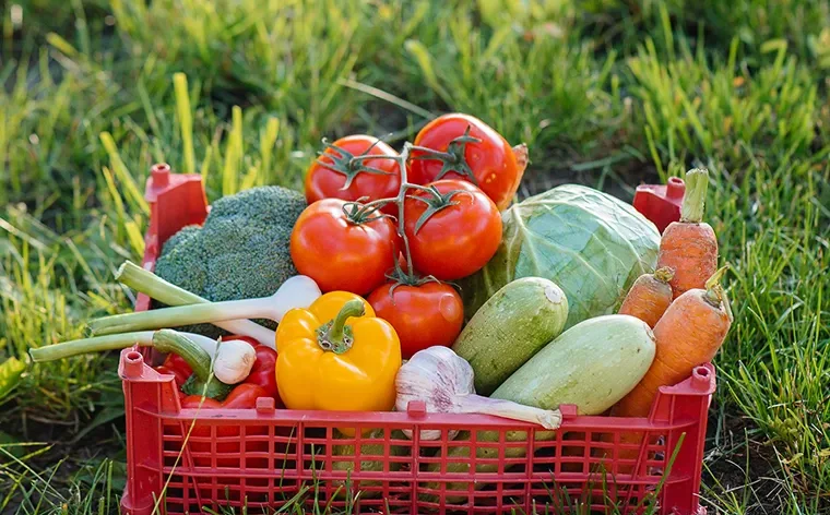 There are many variations of passages of Lorem Ipsum available, but majority have suffered teration in some form, by injected humour, or randomised words which don't look even slight believable. If you are going to use a passage of Lorem Ipsum.